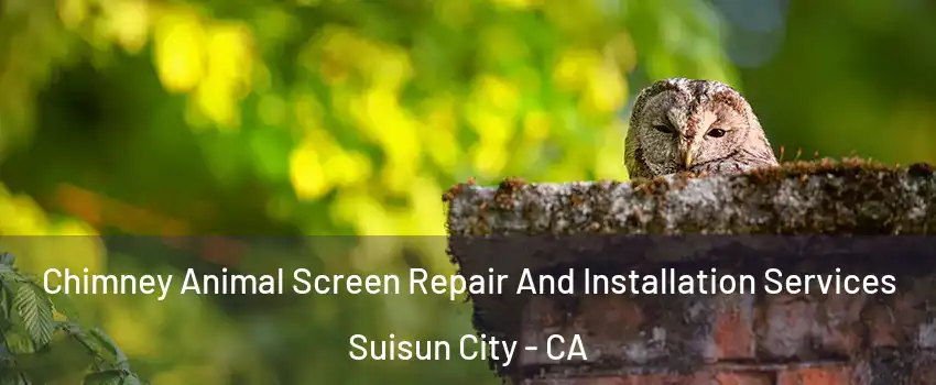  Chimney Animal Screen Repair And Installation Services Suisun City - CA