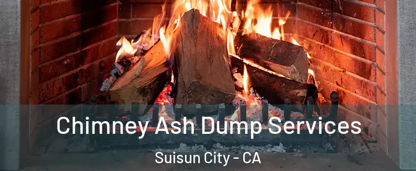  Chimney Ash Dump Services Suisun City - CA