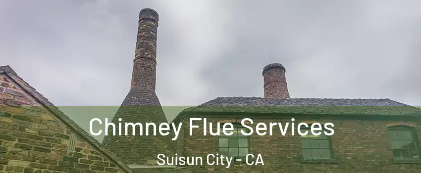  Chimney Flue Services Suisun City - CA