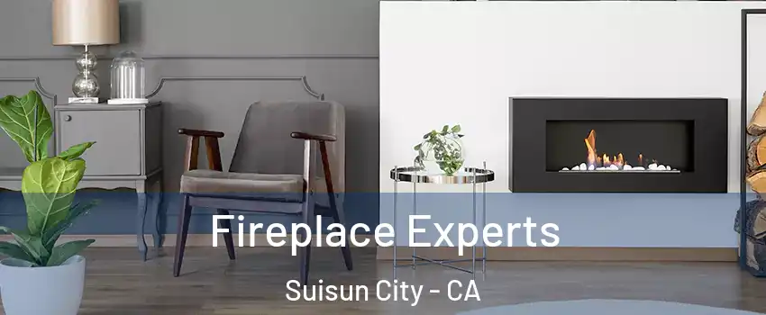  Fireplace Experts Suisun City - CA