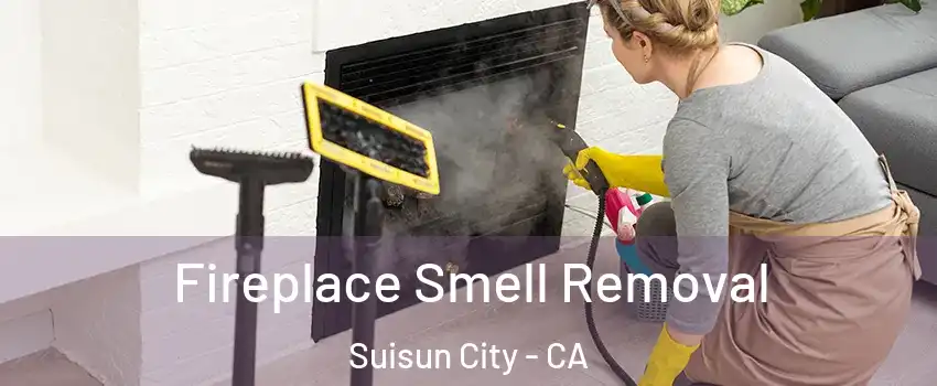 Fireplace Smell Removal Suisun City - CA
