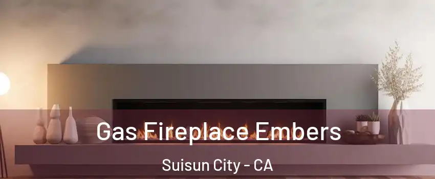  Gas Fireplace Embers Suisun City - CA