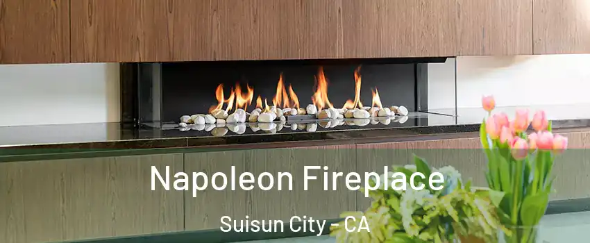  Napoleon Fireplace Suisun City - CA